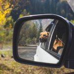 Ne podcjenjujte važnost bočnih ogledala automobila